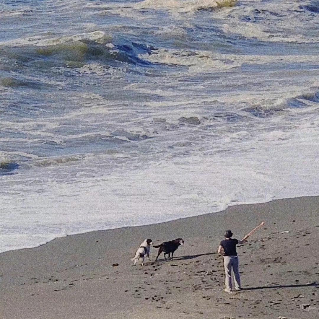 亦是青春亦是信仰