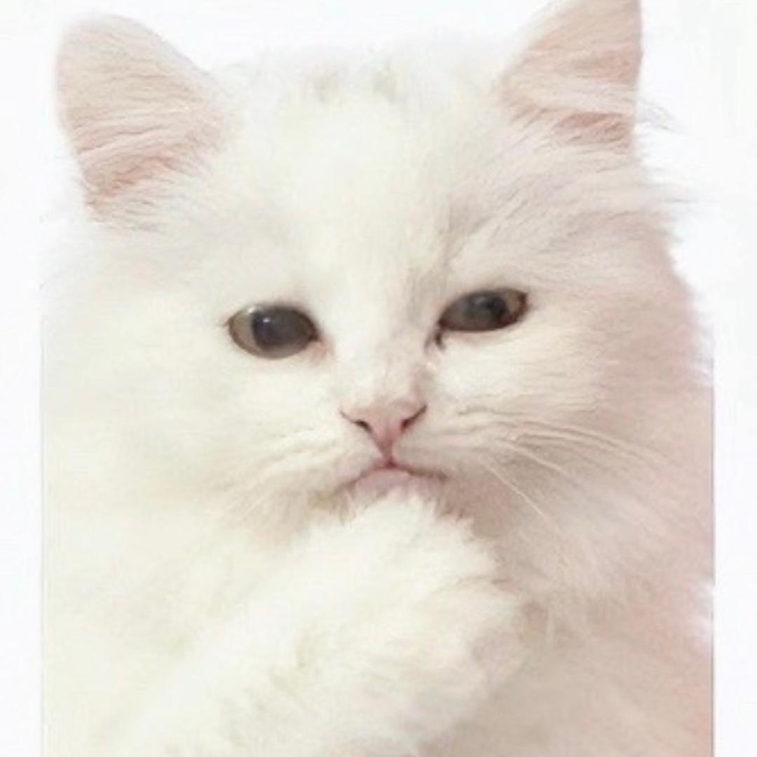 开心快乐666