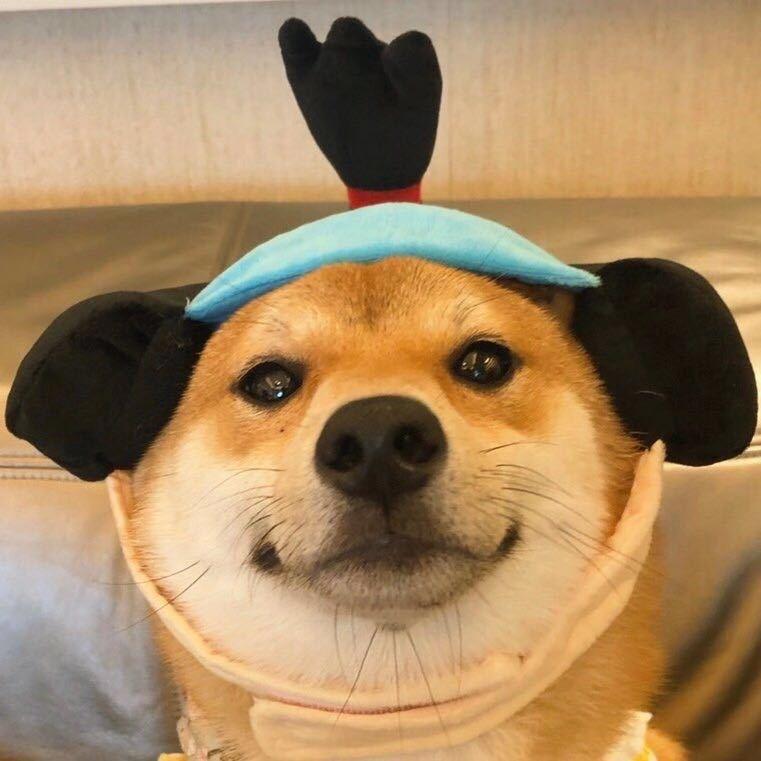 虽晚不迟i