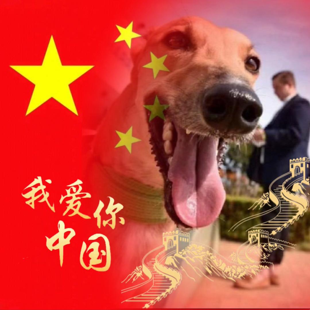 小辉犬舍🐶