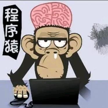 潇洒it人