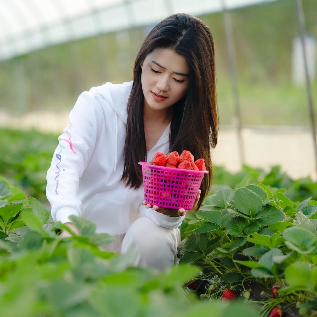 🍓草莓姐姐（在努力）