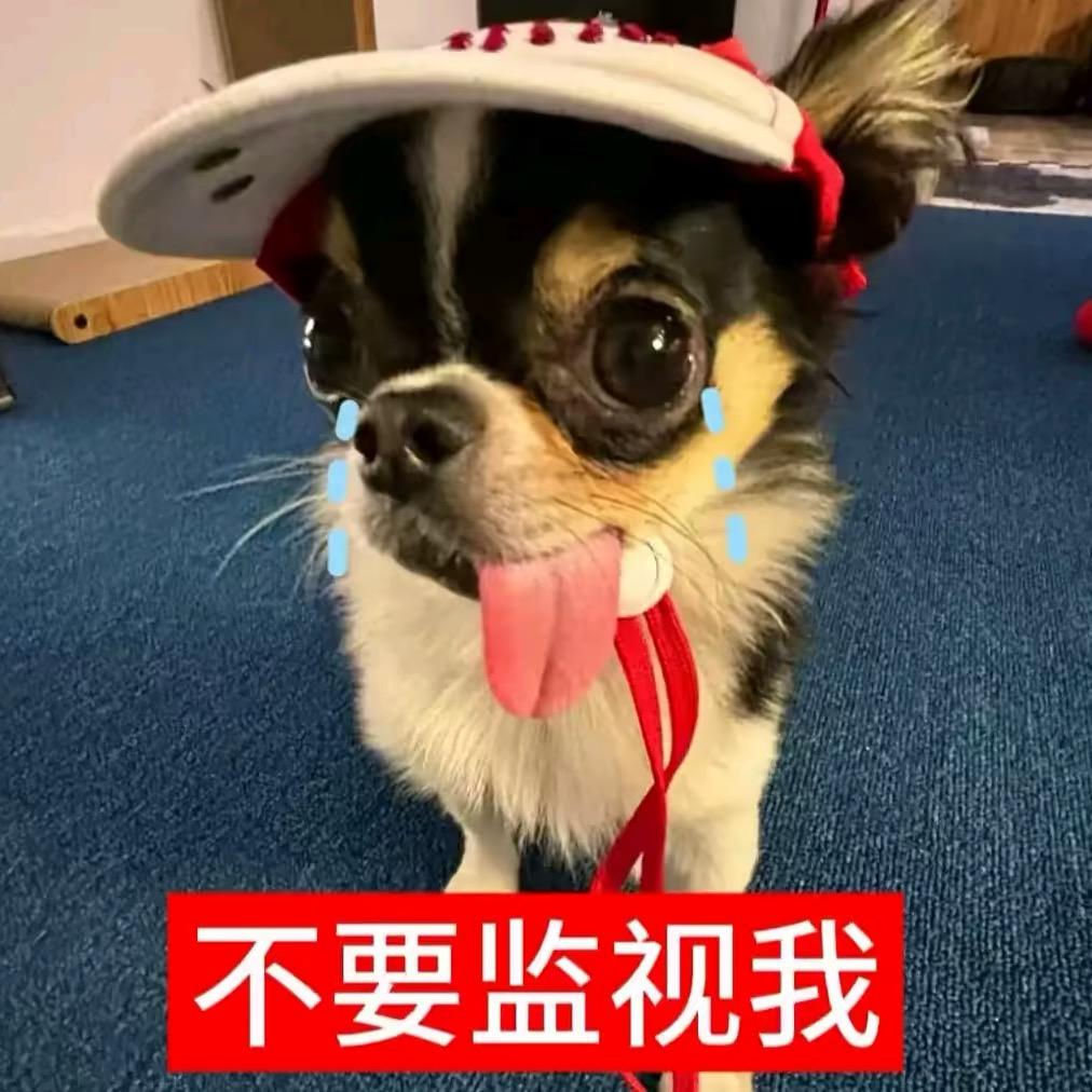 小不点