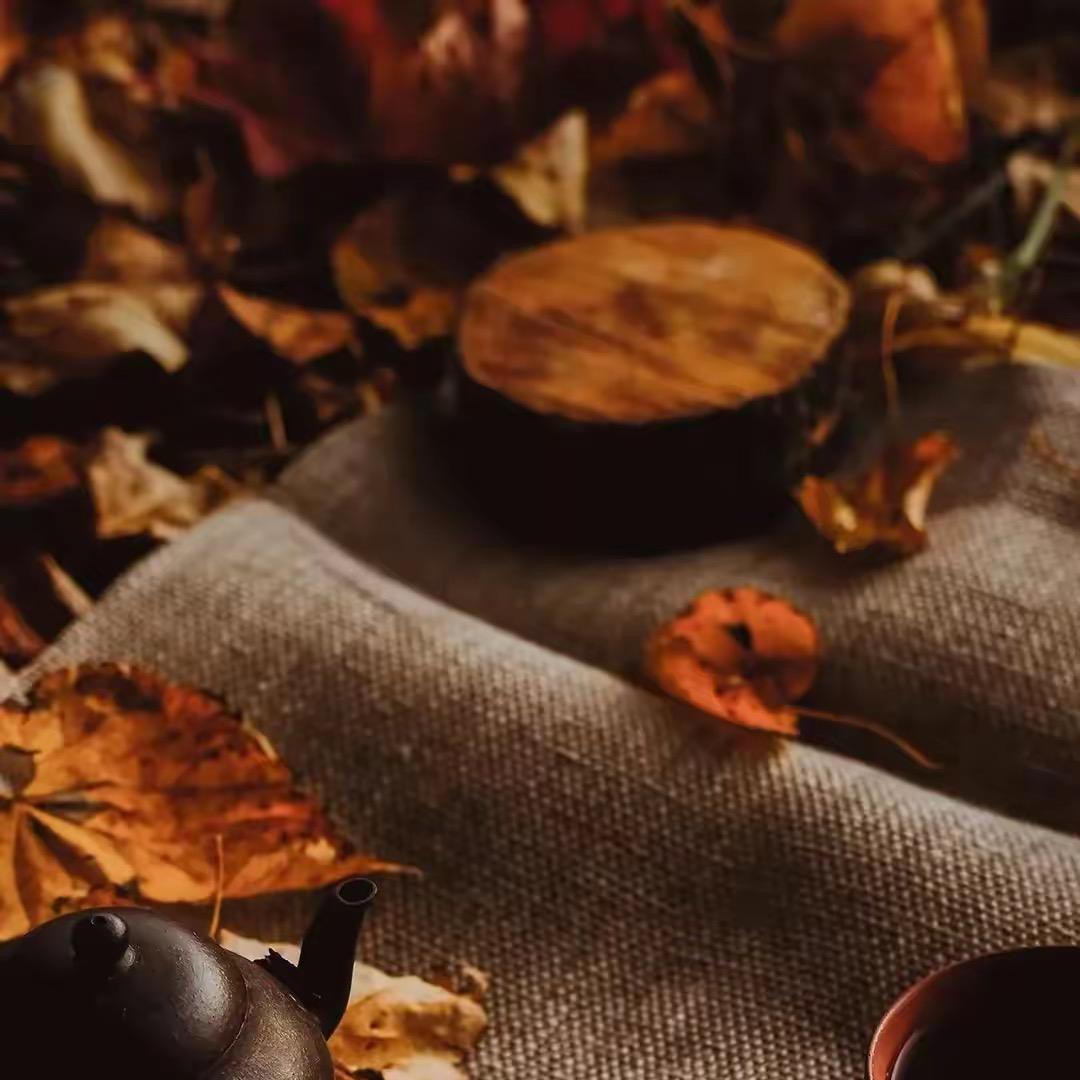 水茵服饰桂桂