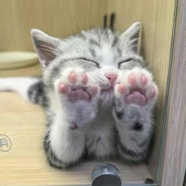 Curiosity