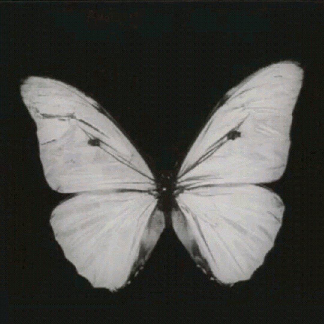 20078955132