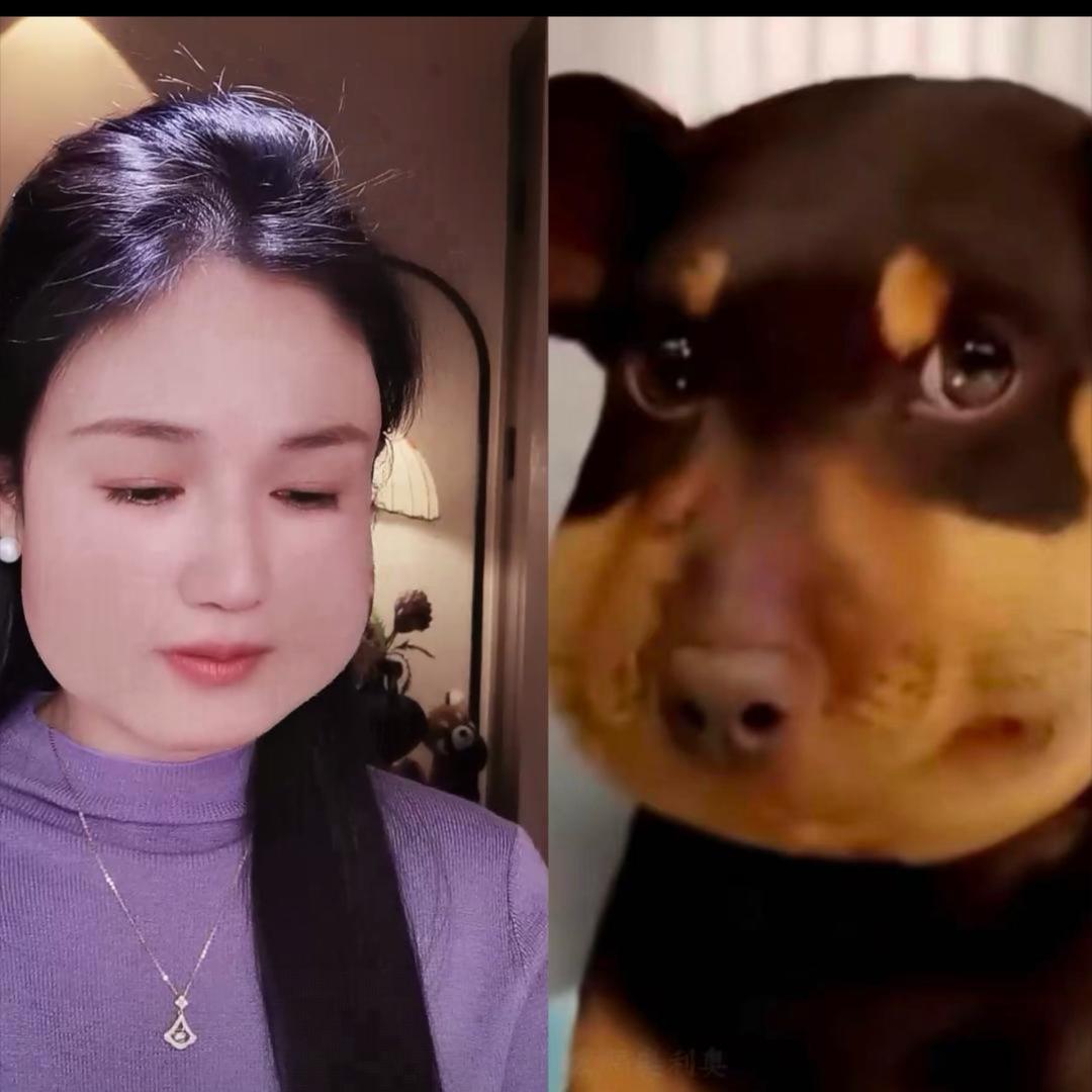 🐯🐯