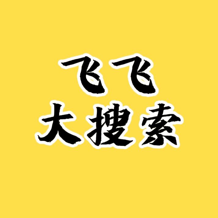 飞飞大搜索