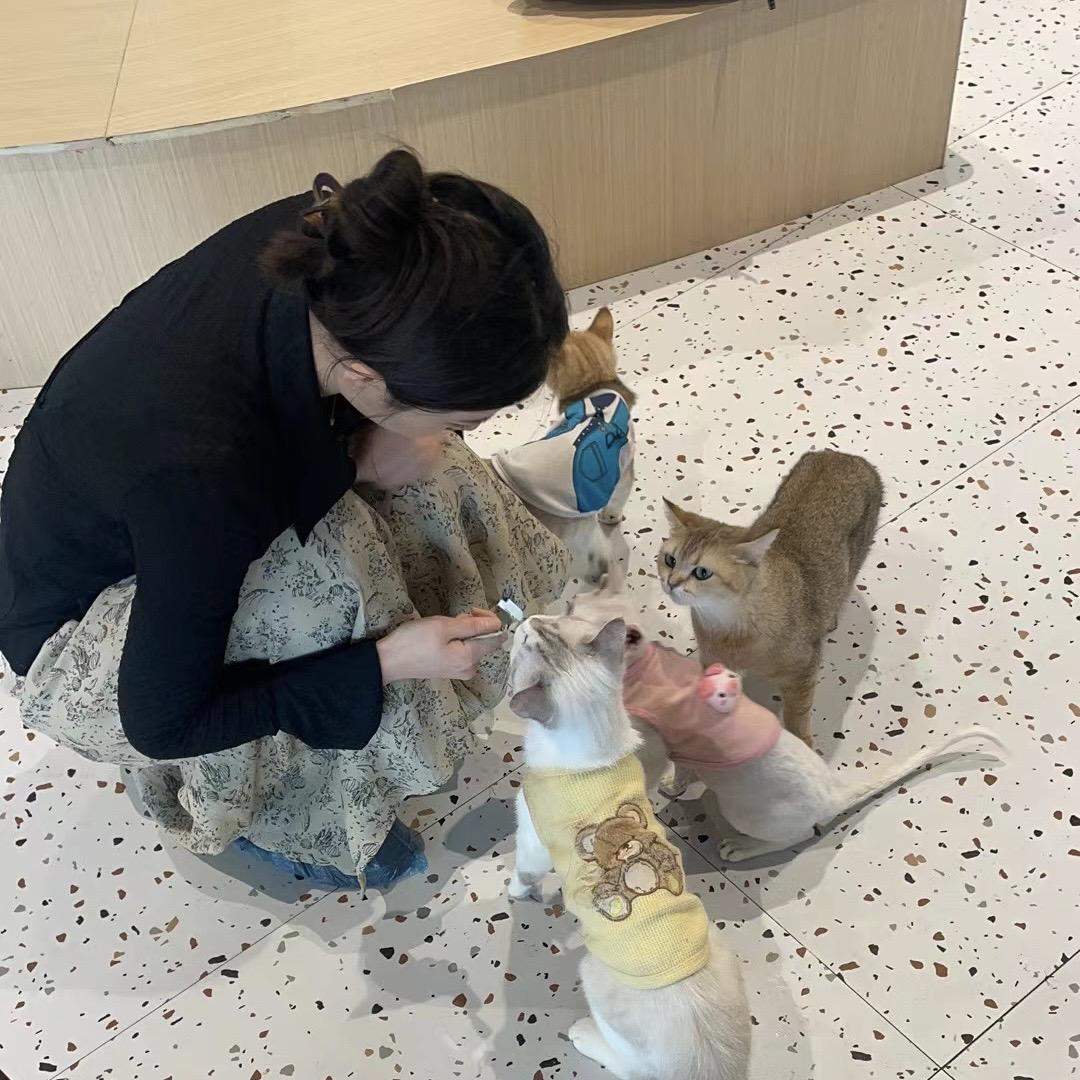 设计师小奶酪