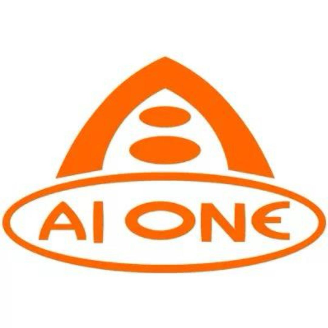 艾王Aione登山包