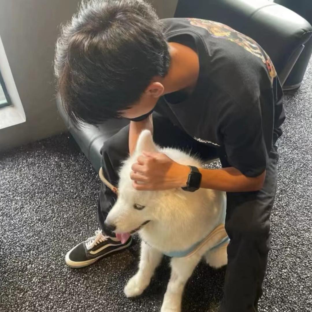 不喜欢早睡