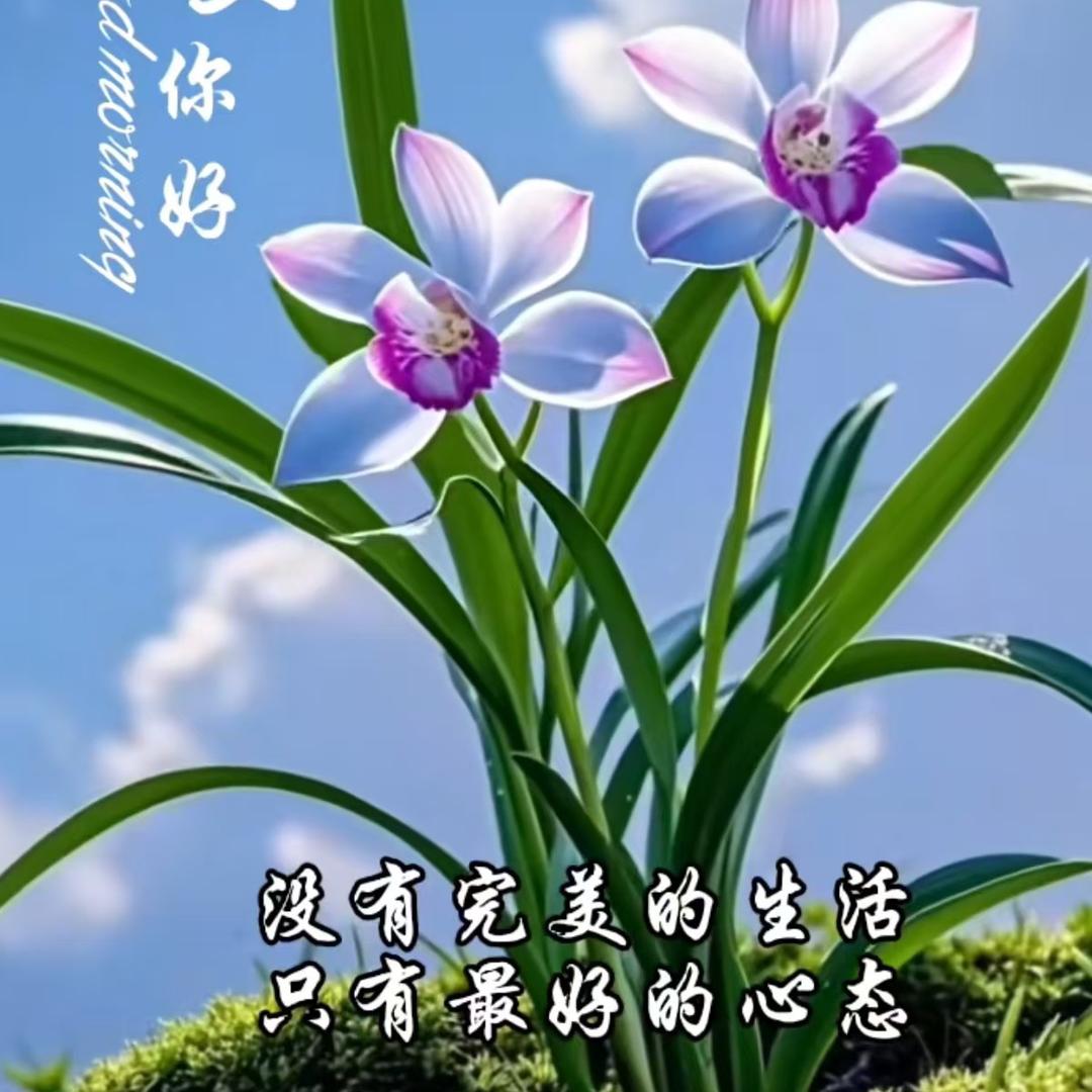 幸运星