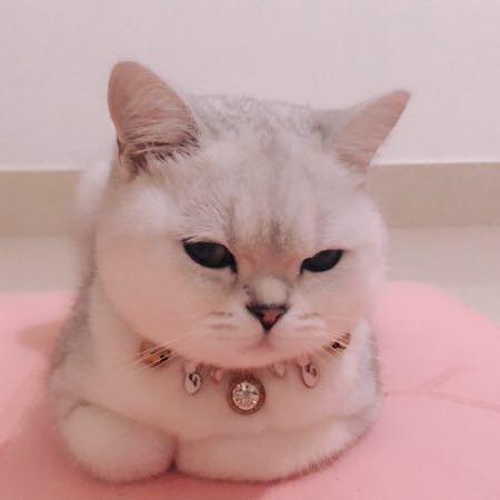 我给你刷，你和你老公省点花