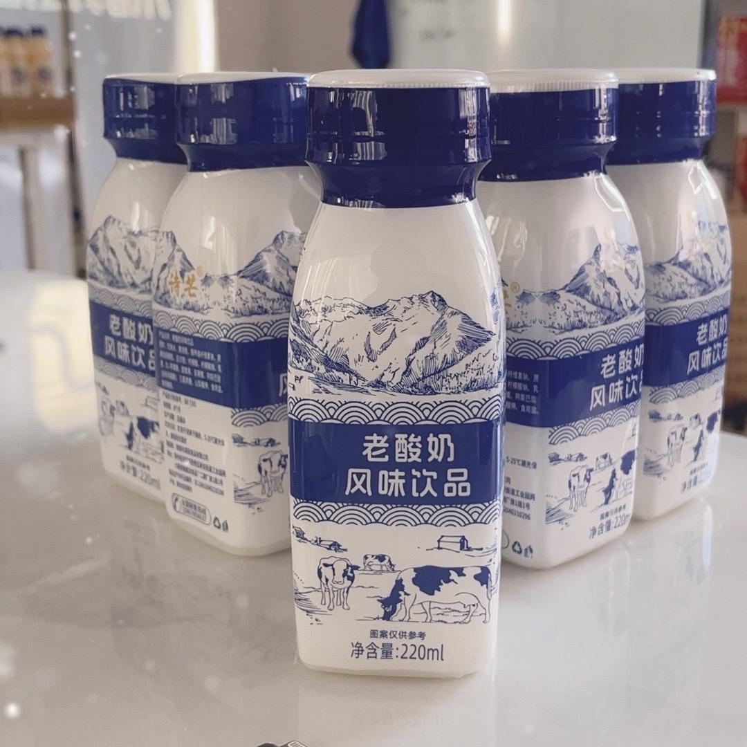 风味老酸奶工厂