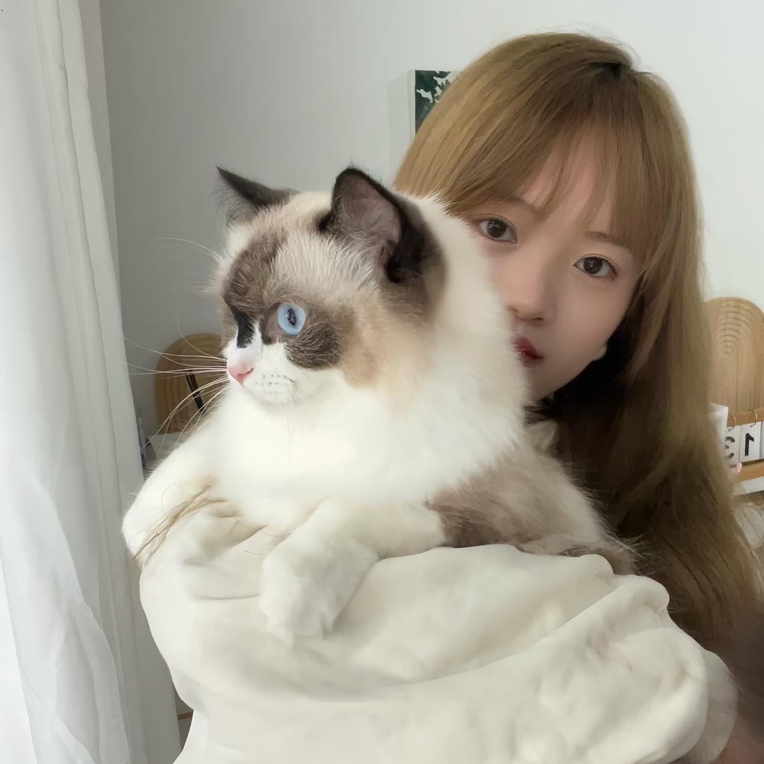 楊光下的.