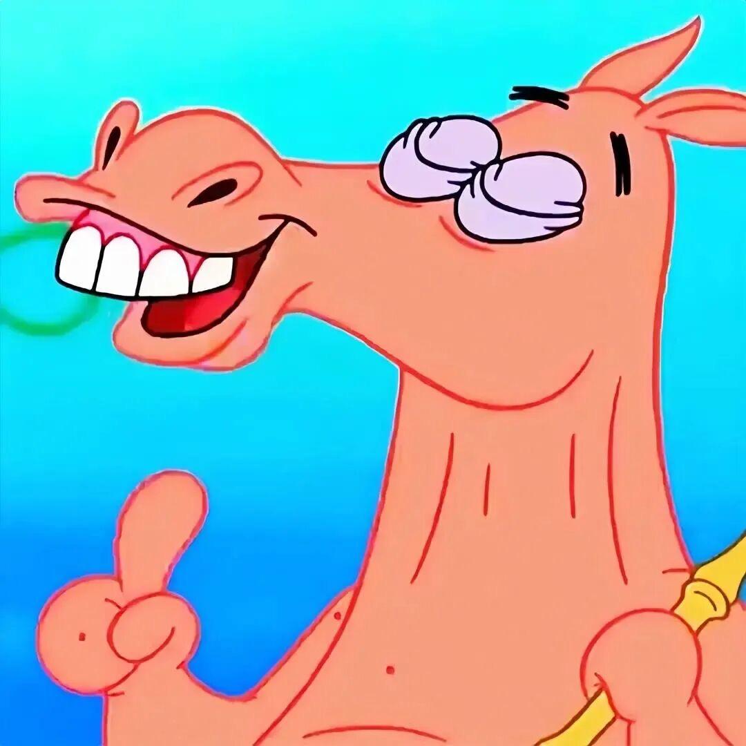 西瓜水产品商行