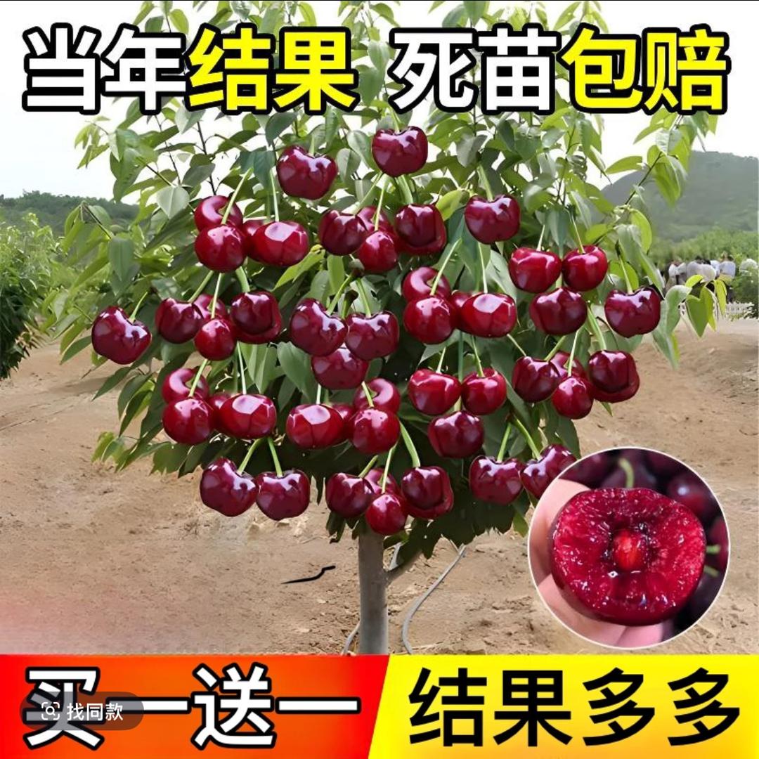 南通家纺工厂折扣店