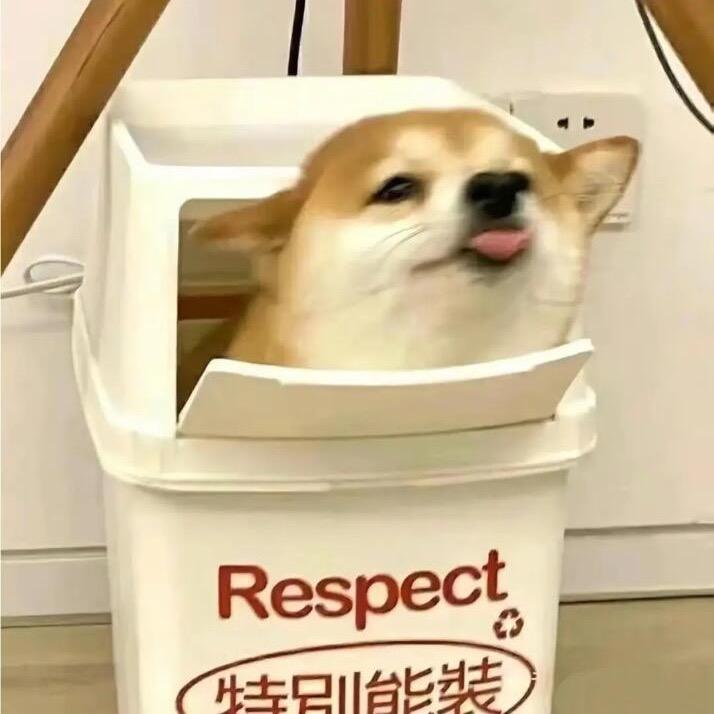 等一个晴天☀️(柴导版)