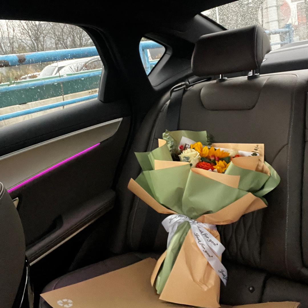 冰冰汉(汉DMi)🚗