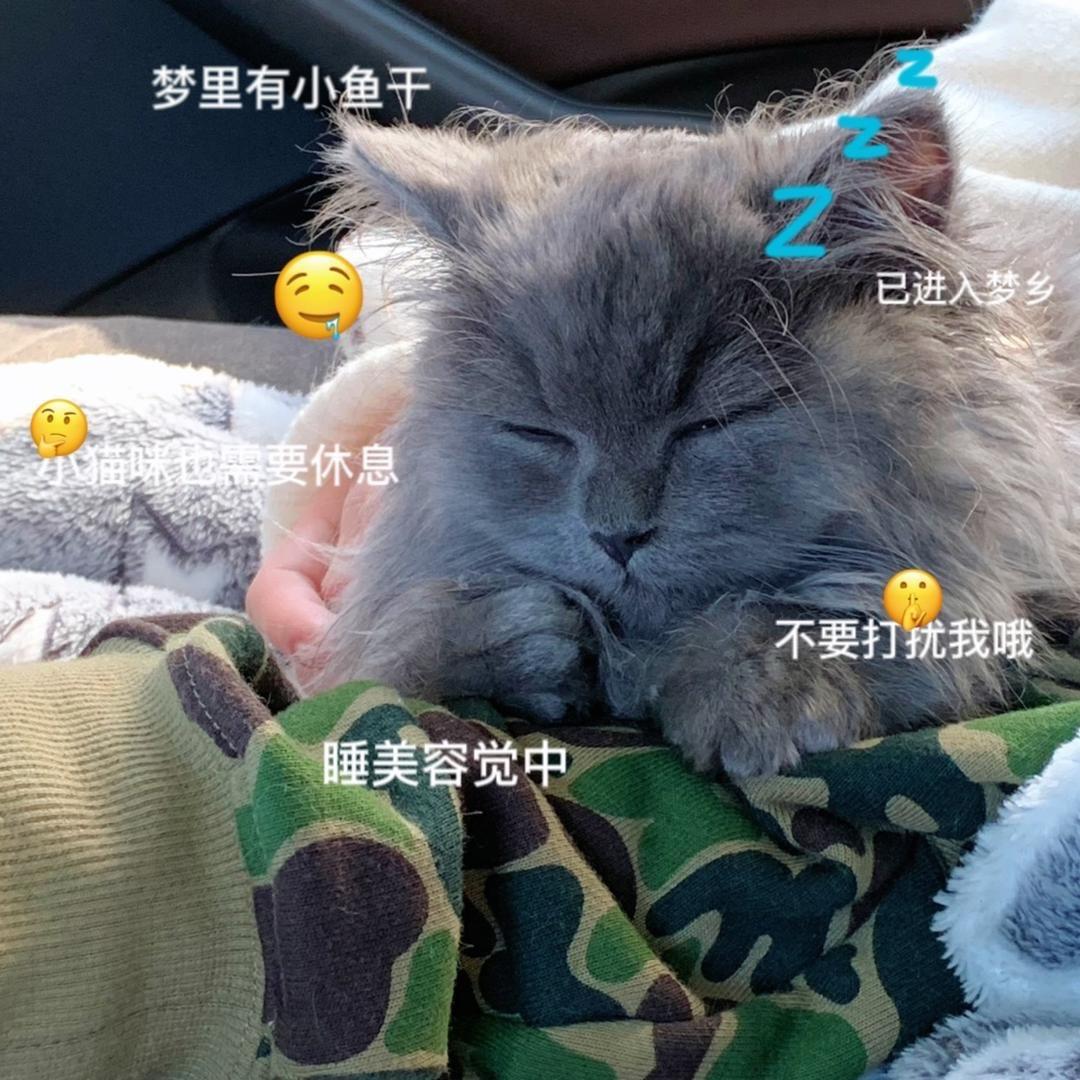 黑抹布日记