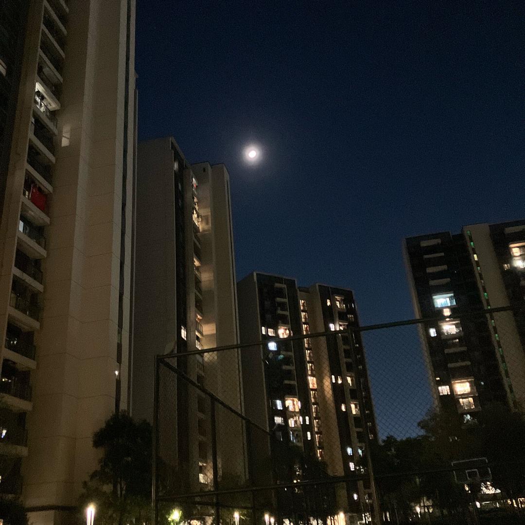 保利威