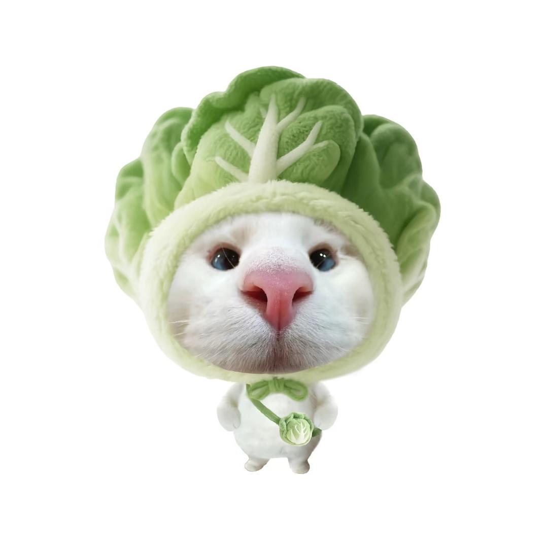 团购达人•小晗