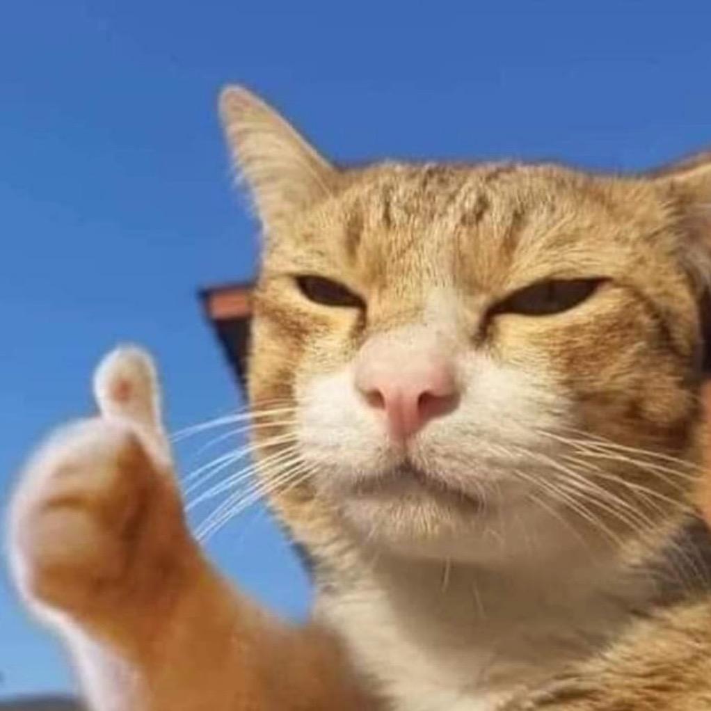 宇宙无敌大西瓜🍉