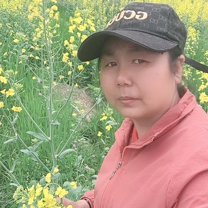 家的感觉