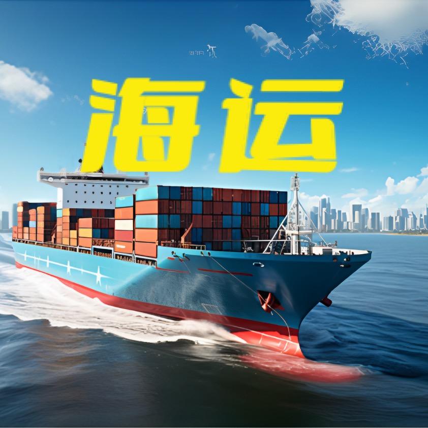 Levi -新跃国际物流-