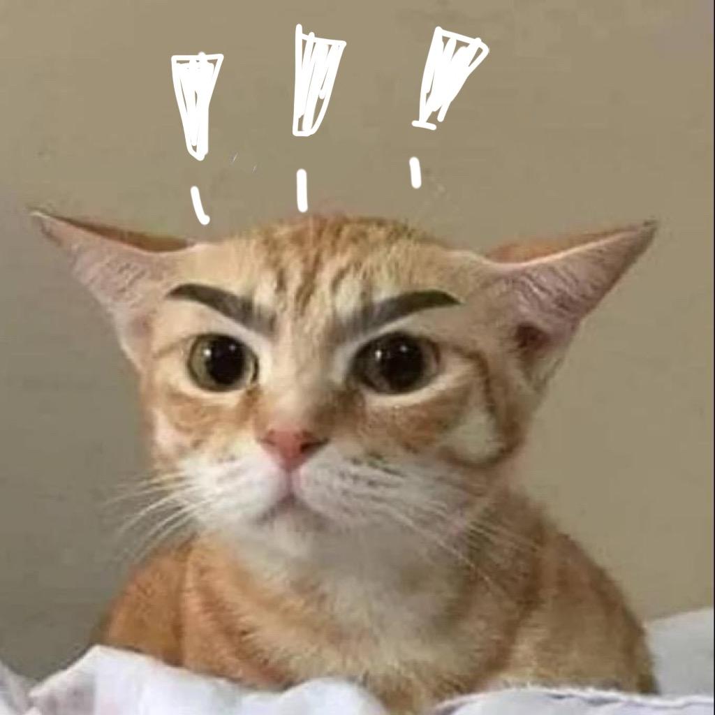 王若琰