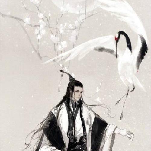 亓官轩十七