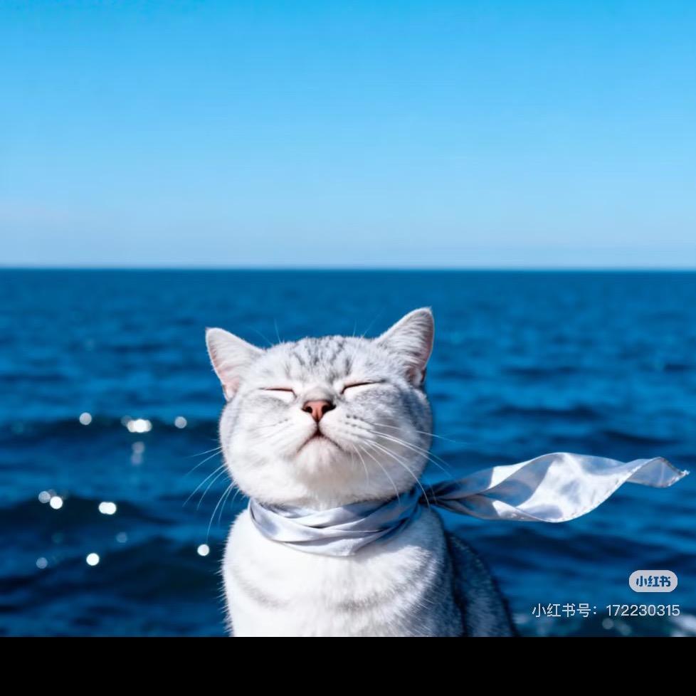 Mia你好👋