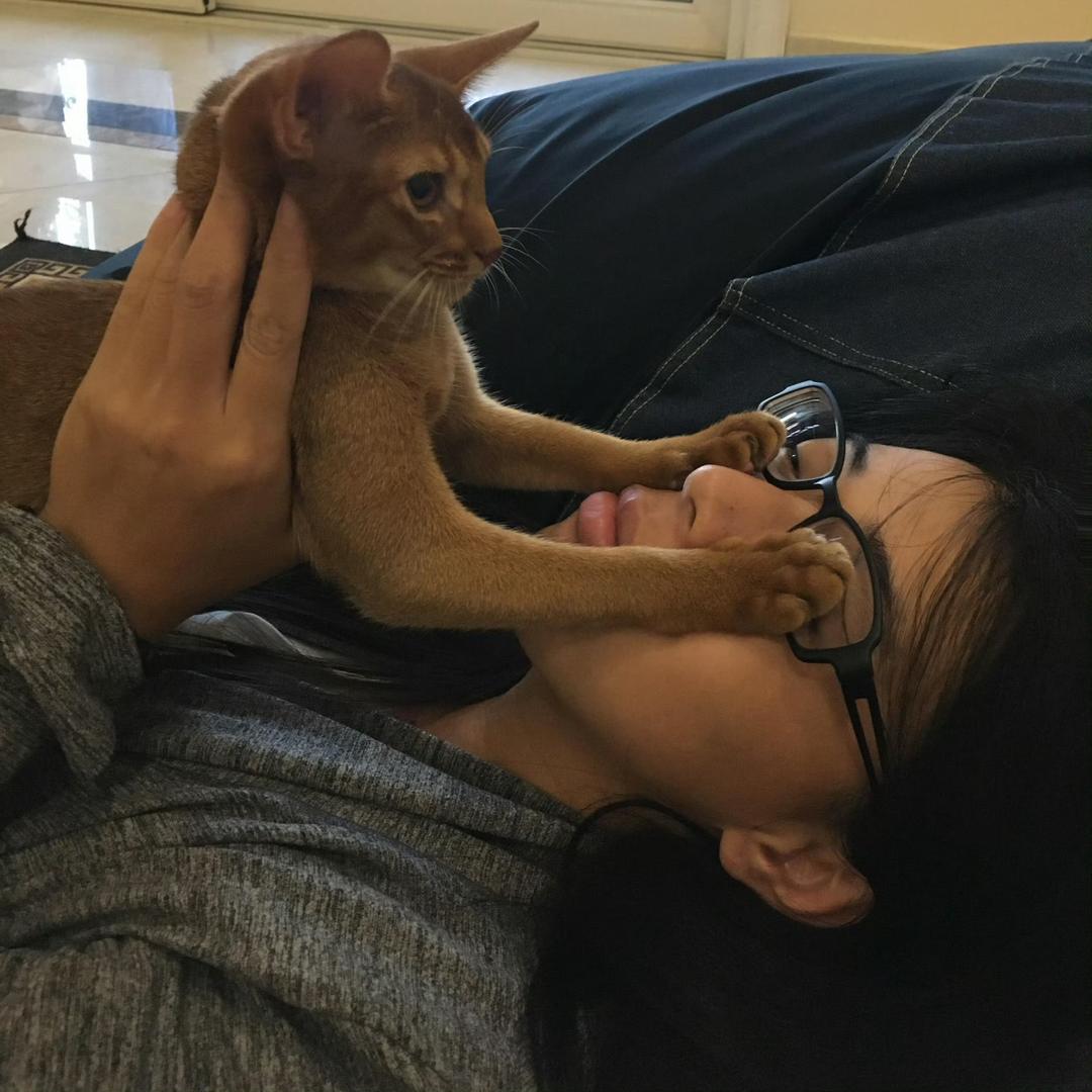 卡普里🥠ⁱˣᵖ