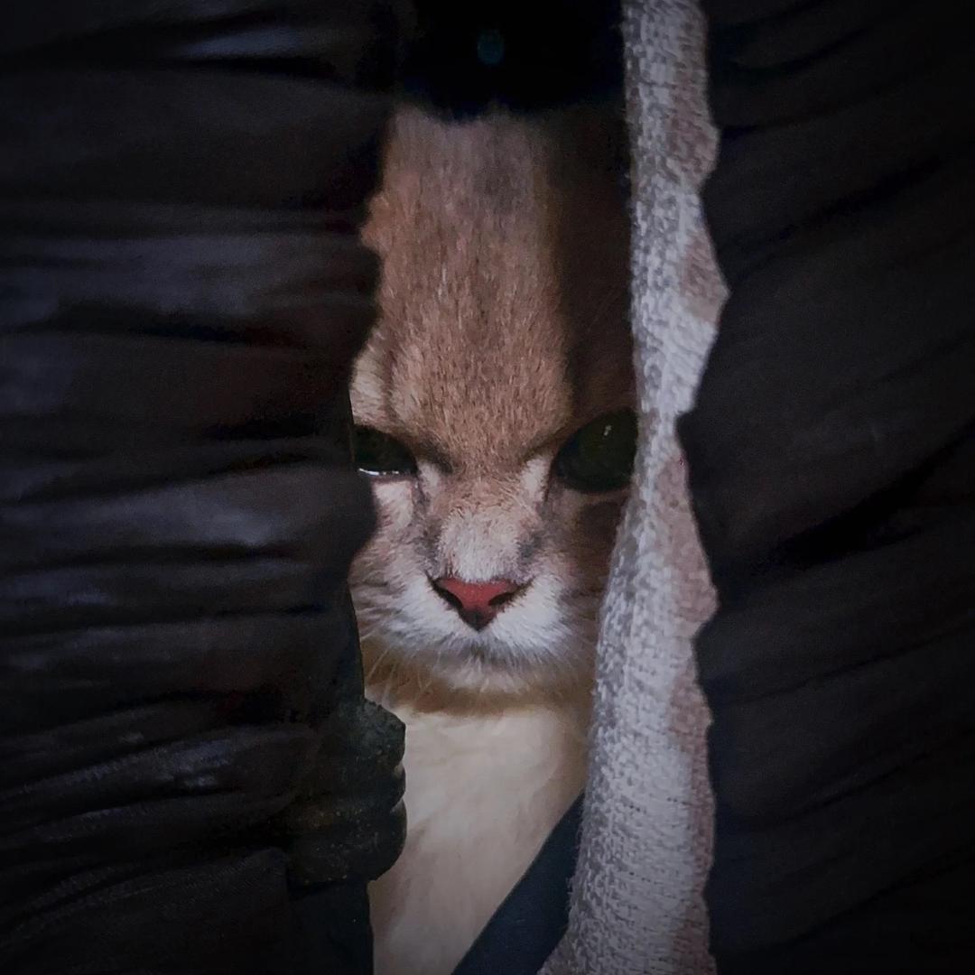 南风不曾到北海