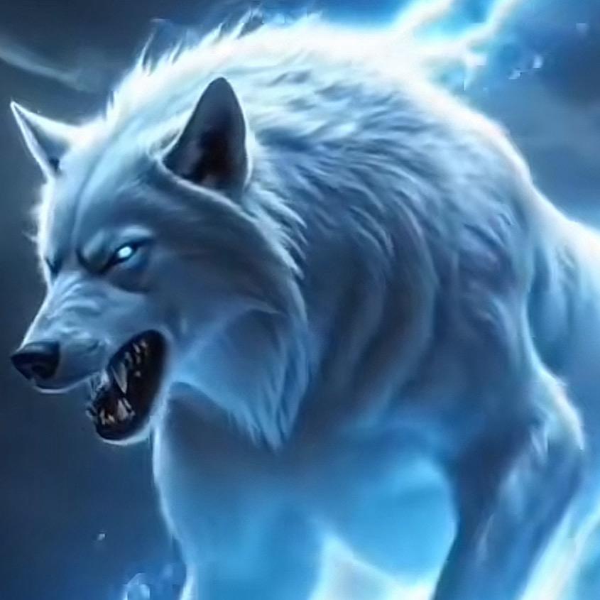 💫雪狼💫