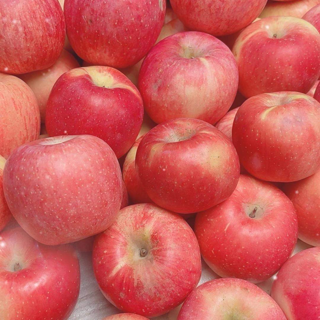 嘉迡红红直播号