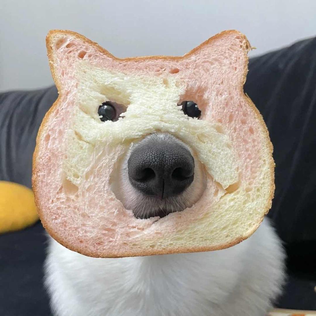 🌈小八秘制老汉堡