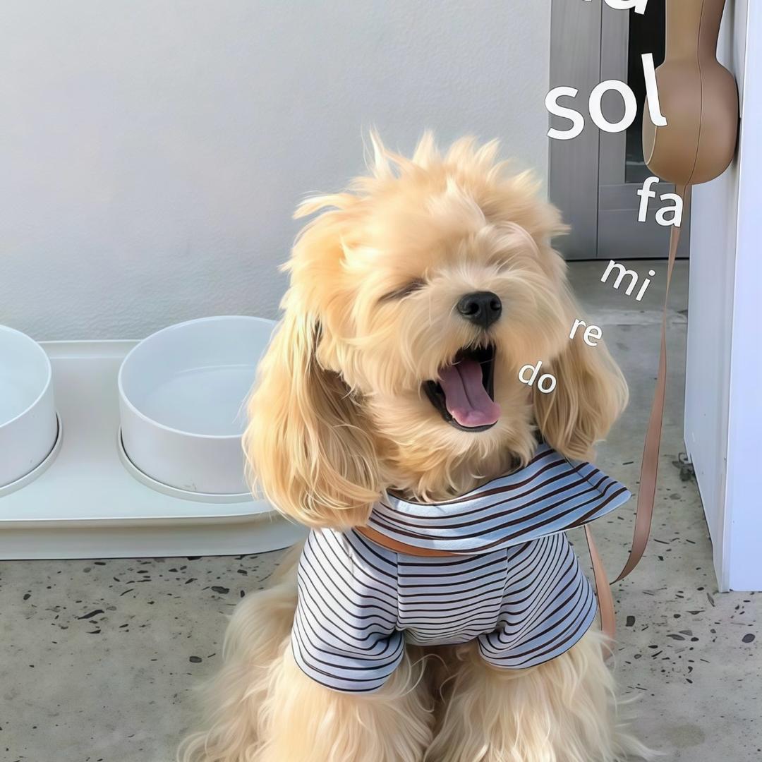 我是蔡志伟