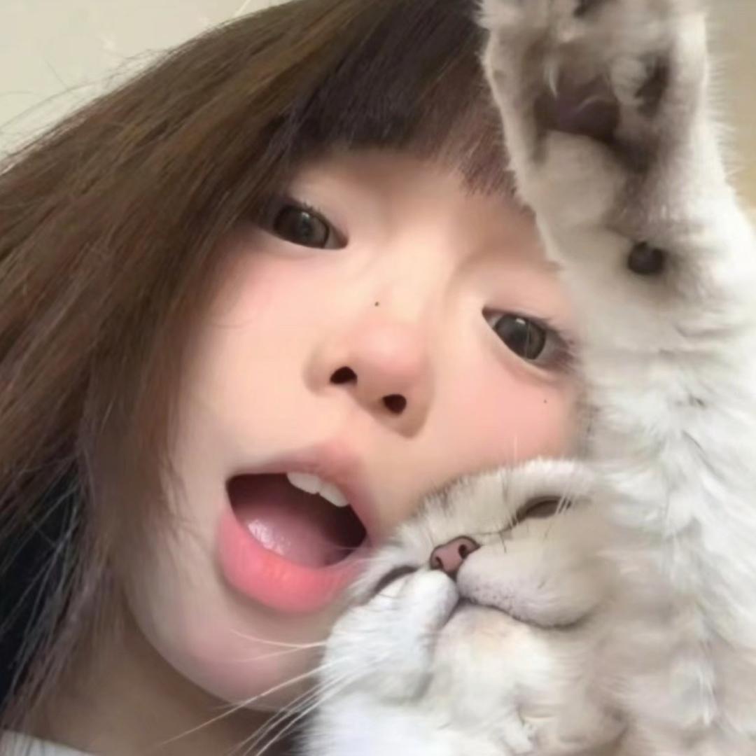 小鑫ovo