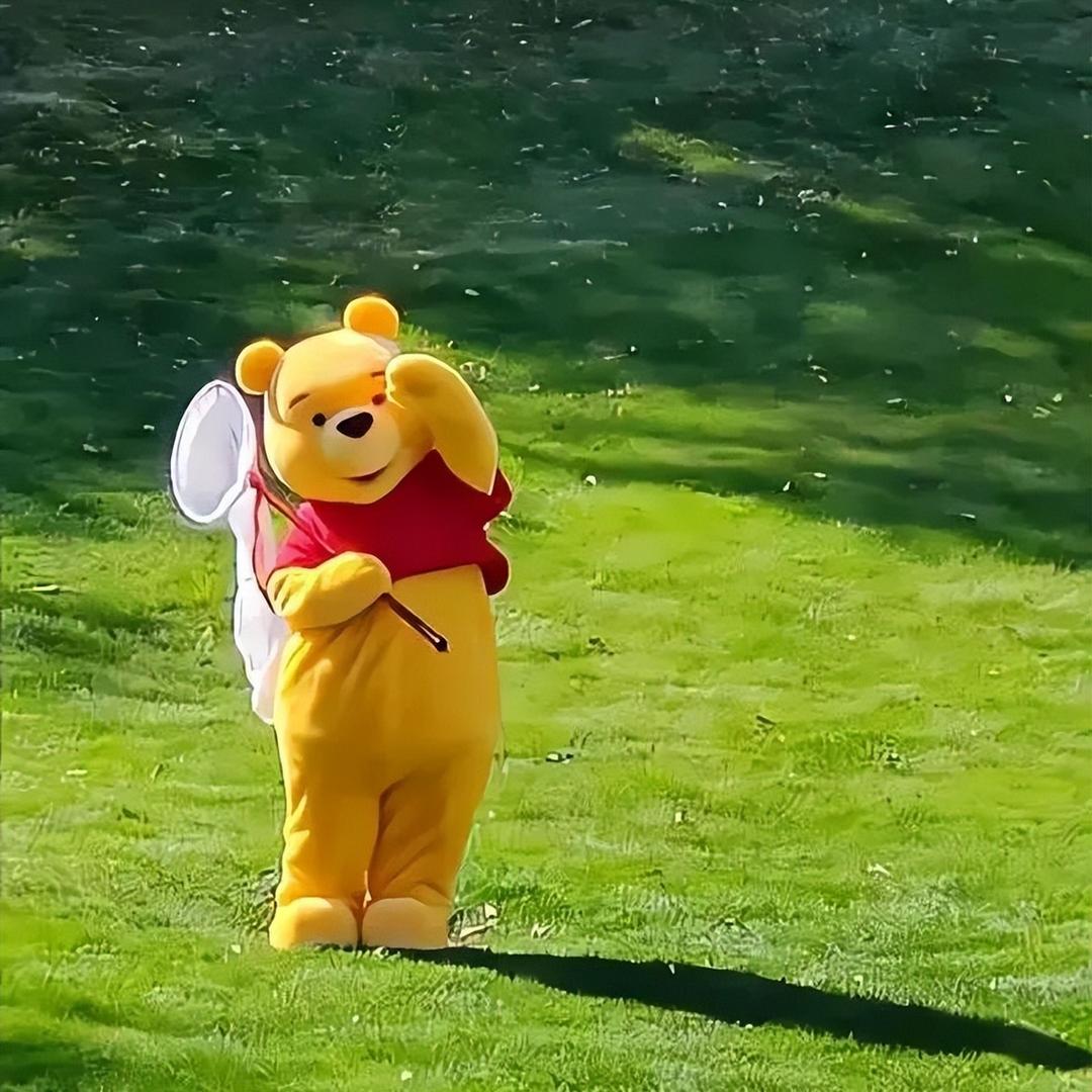 只走东不走西💫