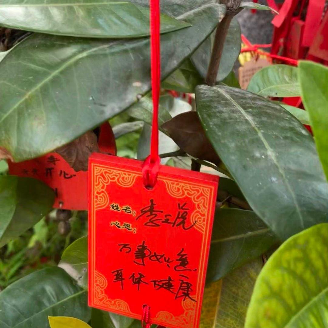虎哥说说