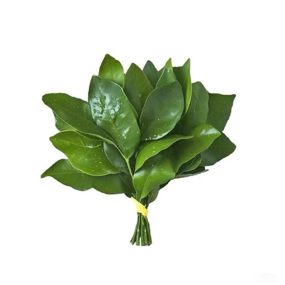 小小