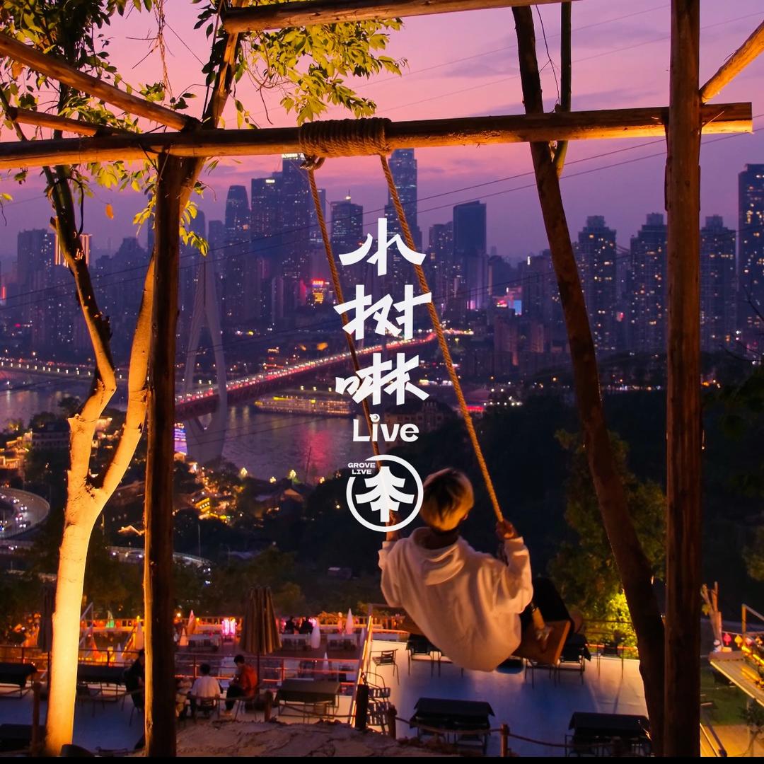 小树啉Live
