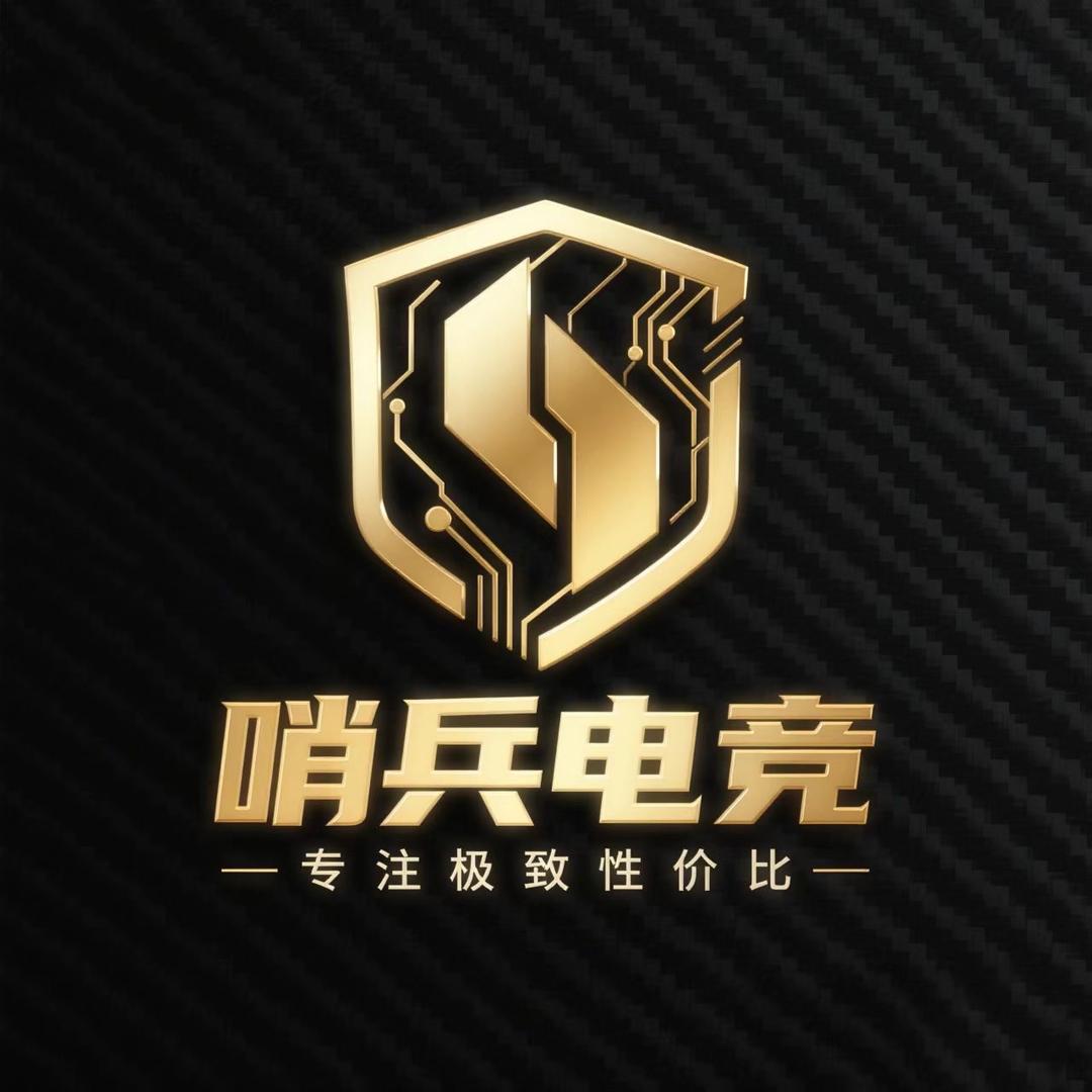 哨兵电竞（三角洲行动）