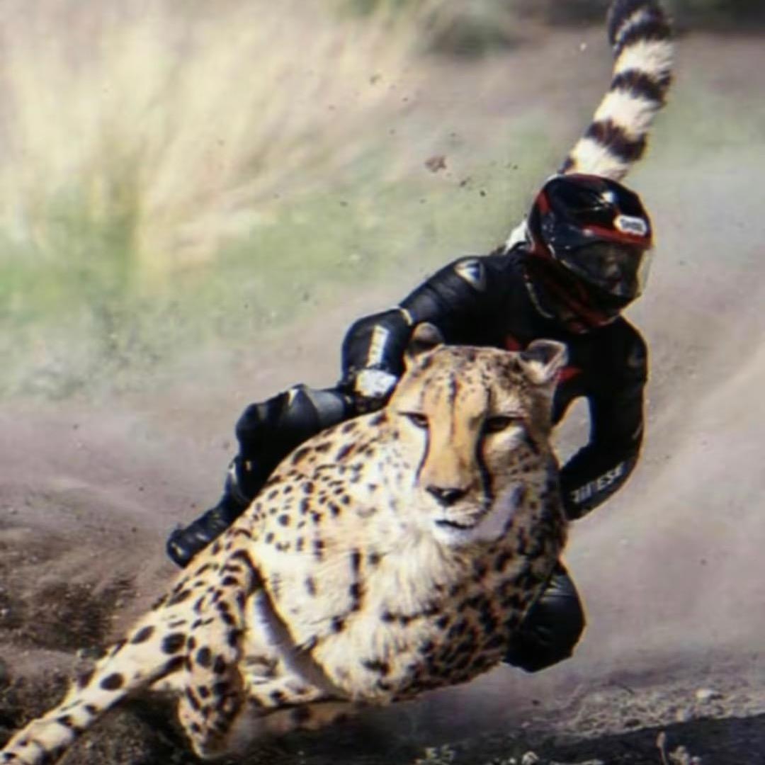 去银行整点金条吗