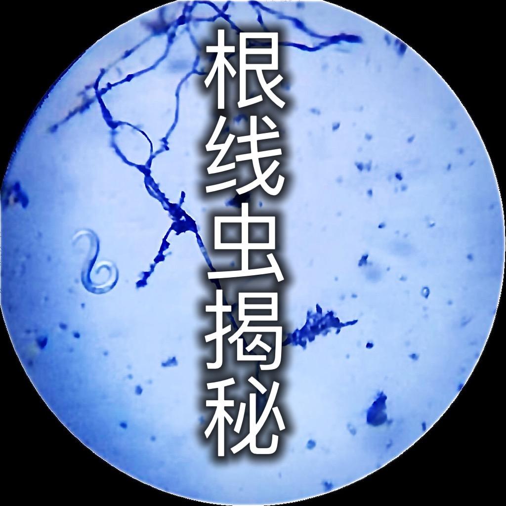 农之道根线虫专治