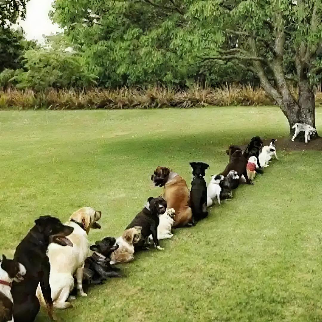 那就对你不起！