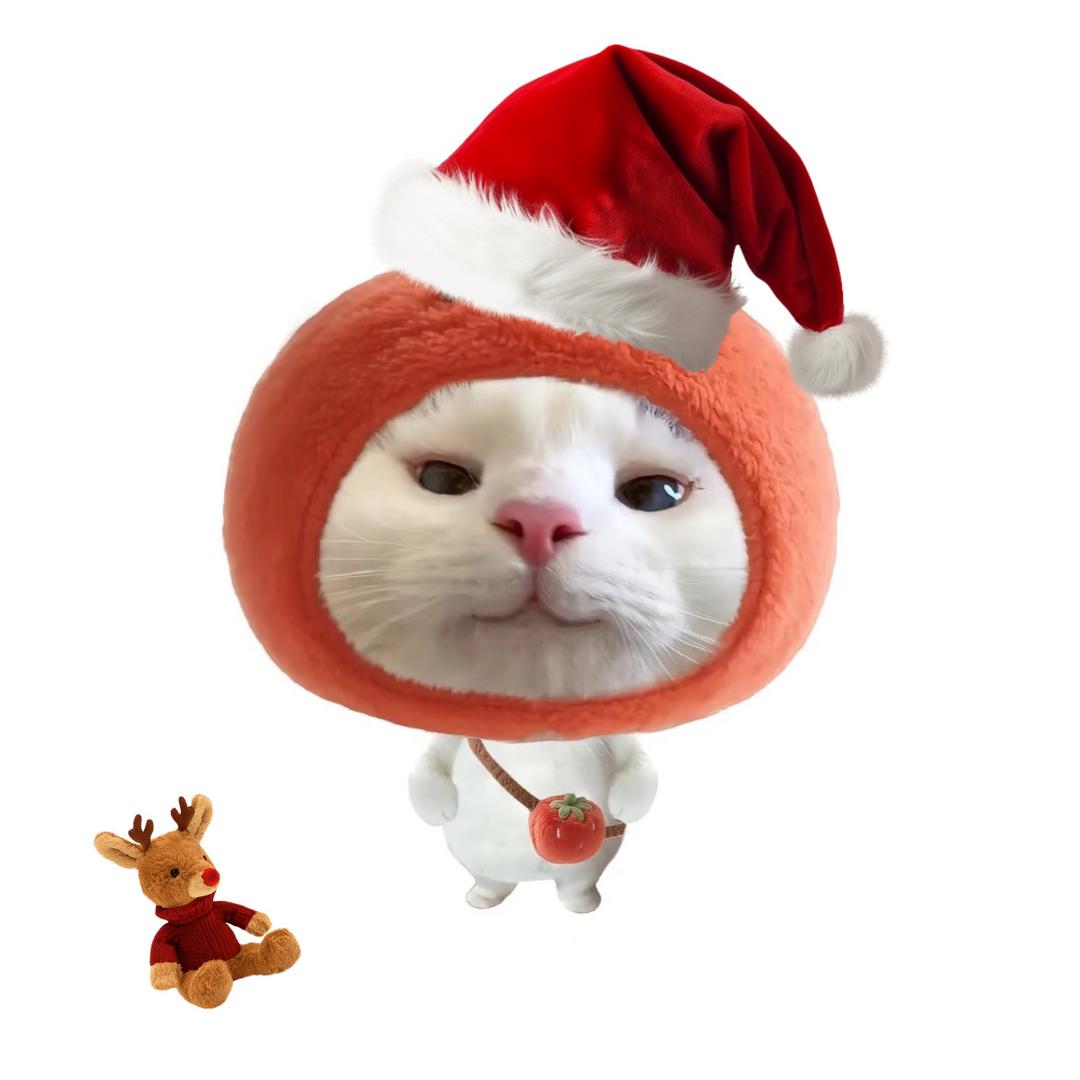 QYQ