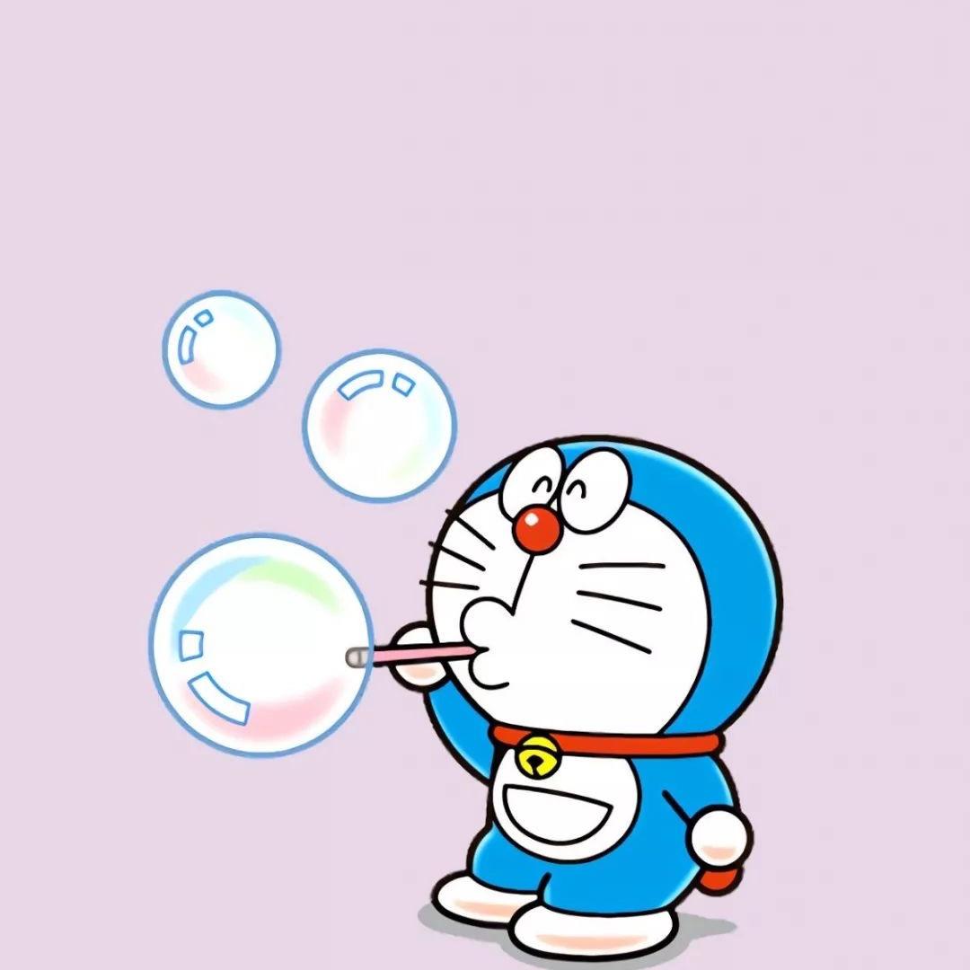 鲨鱼辣椒