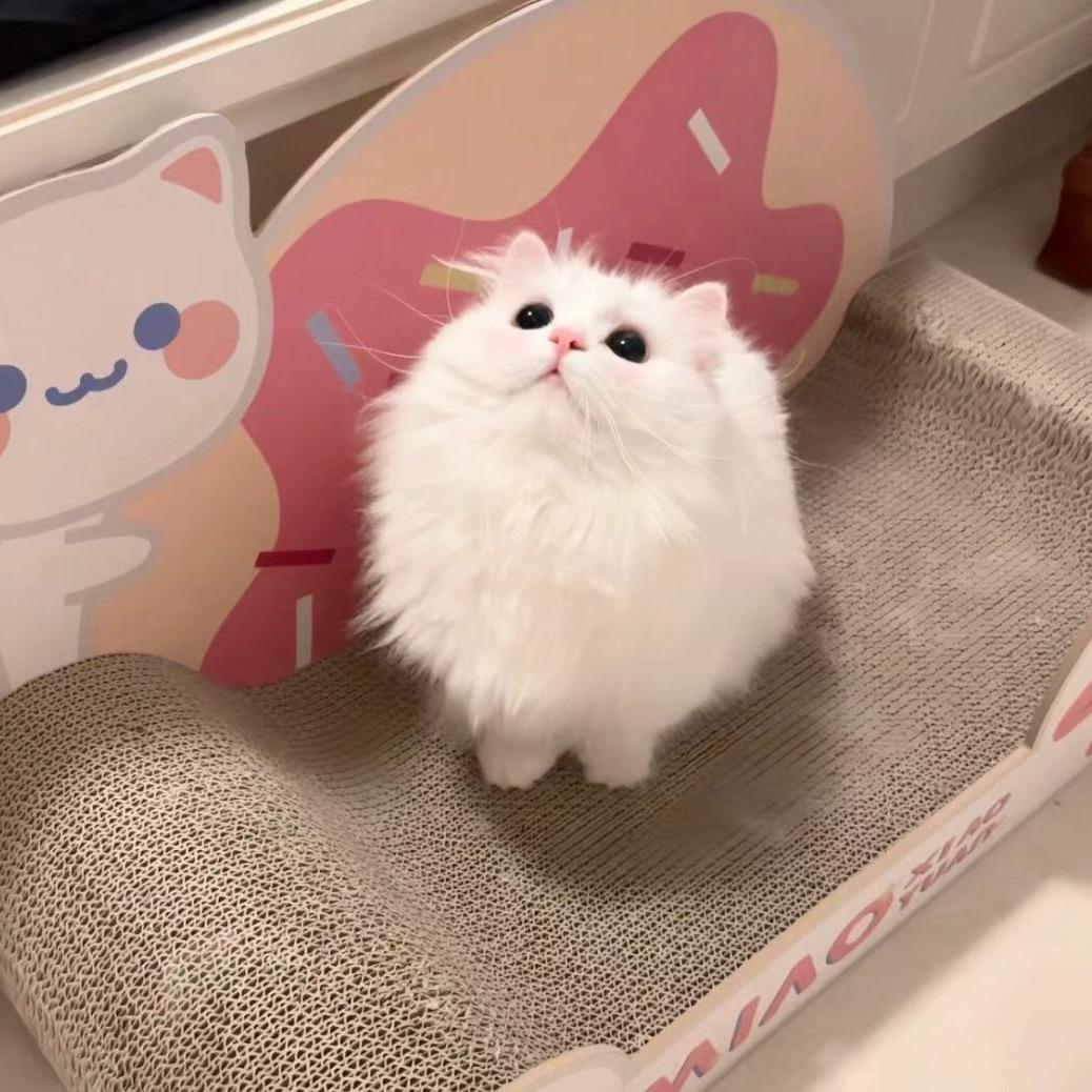 皮卡皮